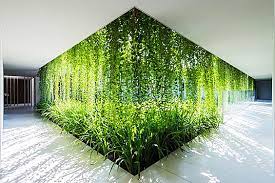 Photo of Вертикальное озеленение помещений – для красоты или для здоровья?